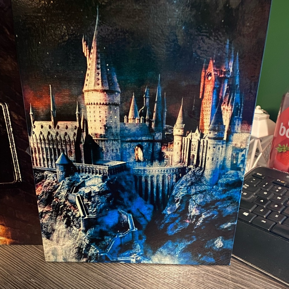 Harry Potter Bundle